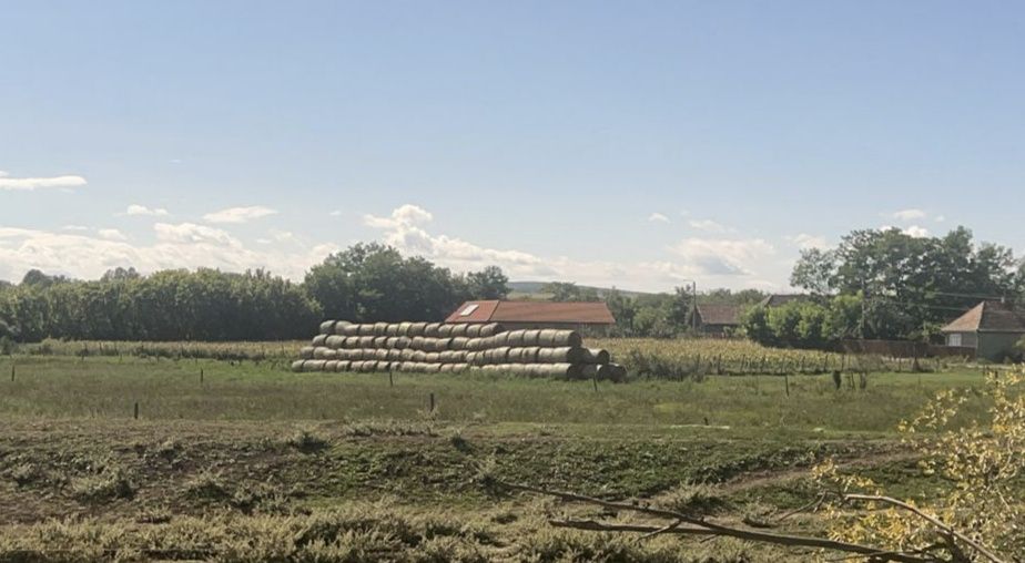 Vând baloți de lucernă, fân și paie