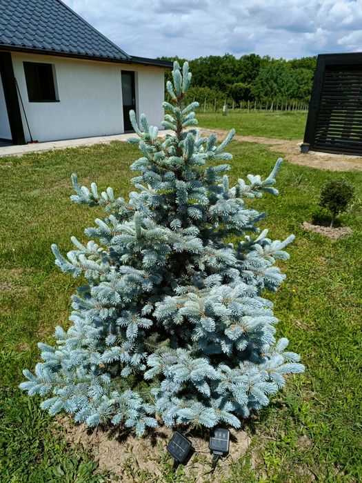 Teren de vânzare in Bihor 7 min de Băile Felix și 9 minute de aeroport