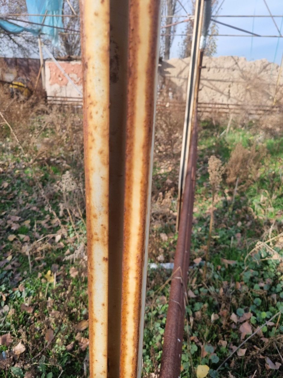 Tiplitsa sotiladi srochna 13 sotix, balandligi 5 metr . Zangiota bozsu