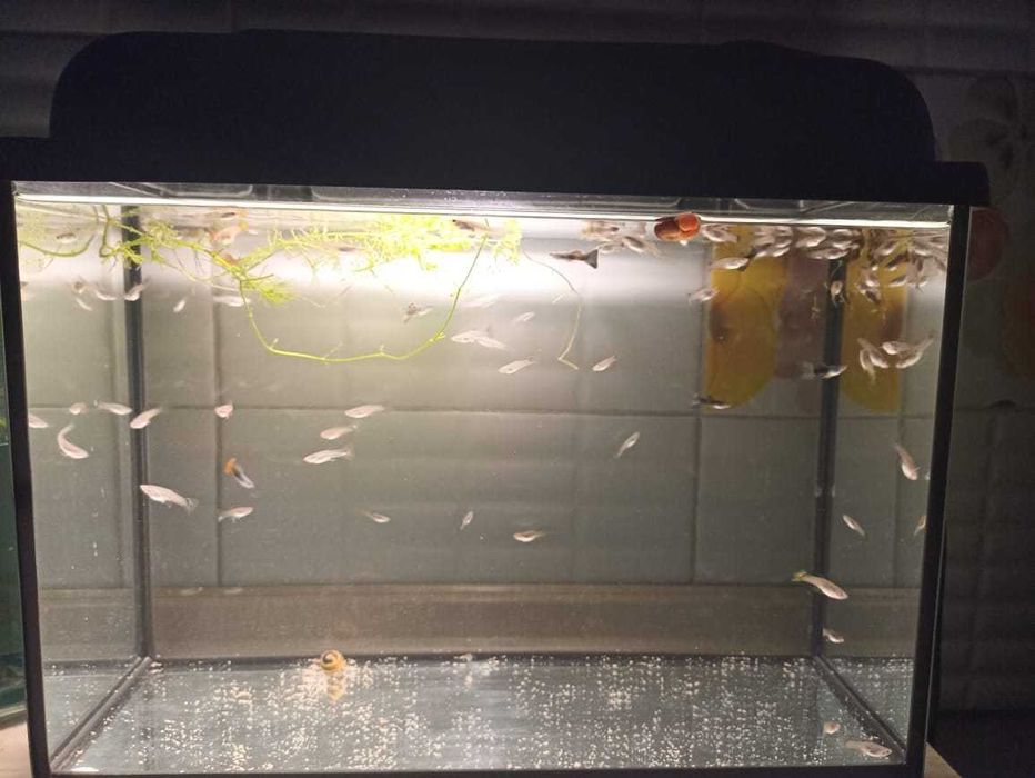 Новый заводской аквариум с подсветкой на 20 литров