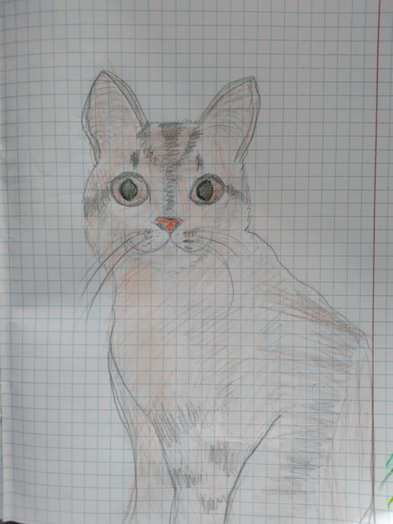 рисую домашних животных