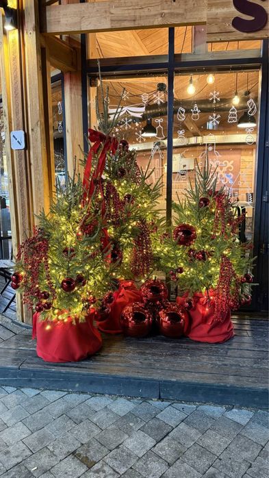 Новогодняя живая ель с доставкой Елка в горшке с комом для дома Алматы