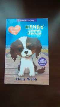 Henry cățeluşul de pe plajă(carte pentru copii)