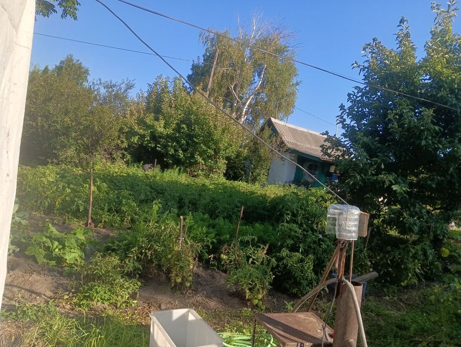 Срочно продам дачу