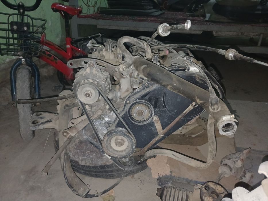 Damas divikatil karopka