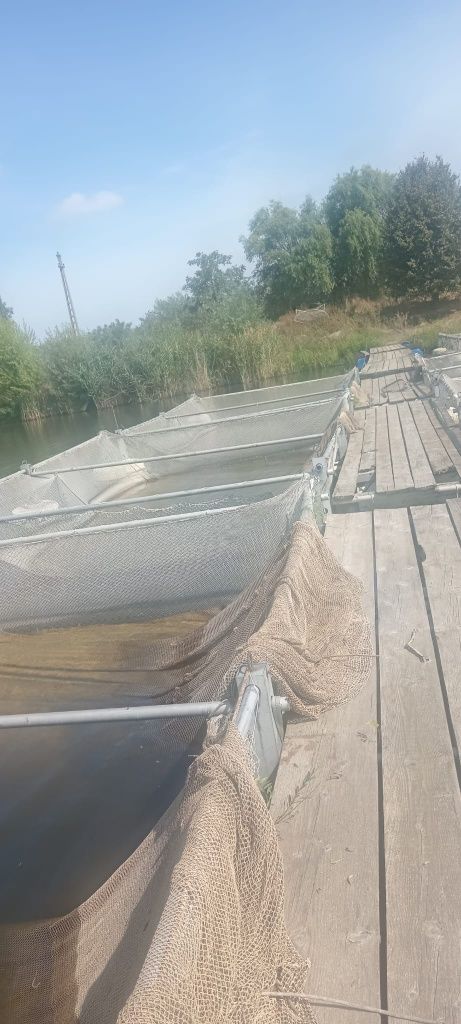 Viviere flotabile pentru crestere peste