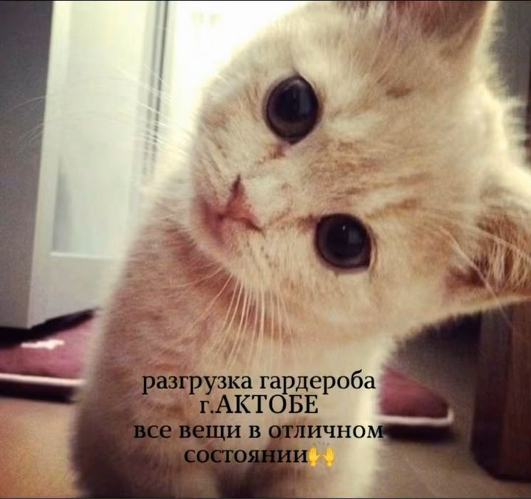 штаны и топики одежда