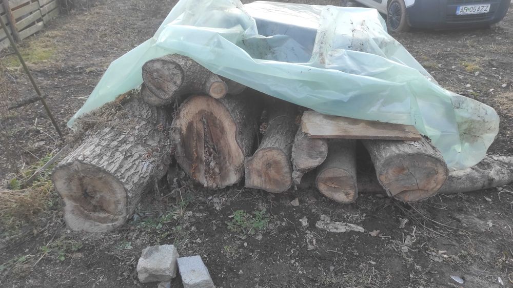 Lemn de nuc material mobilă