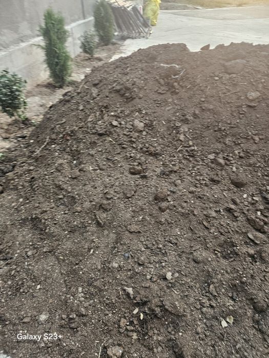 Тегін Гөң келіп алып келіңіздер
