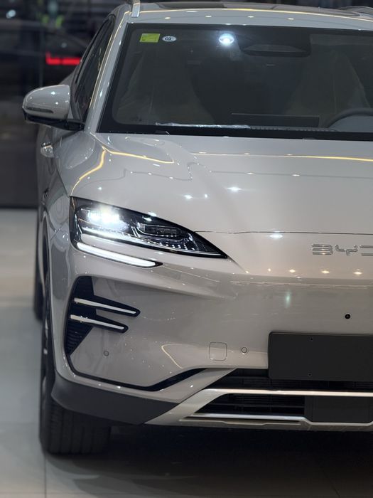 BYD Chenpion Smart driving 2026