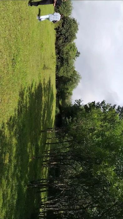 Teren extravilan în SISESTI Maramureș