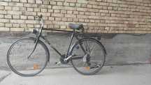 Velaseped  germanski
