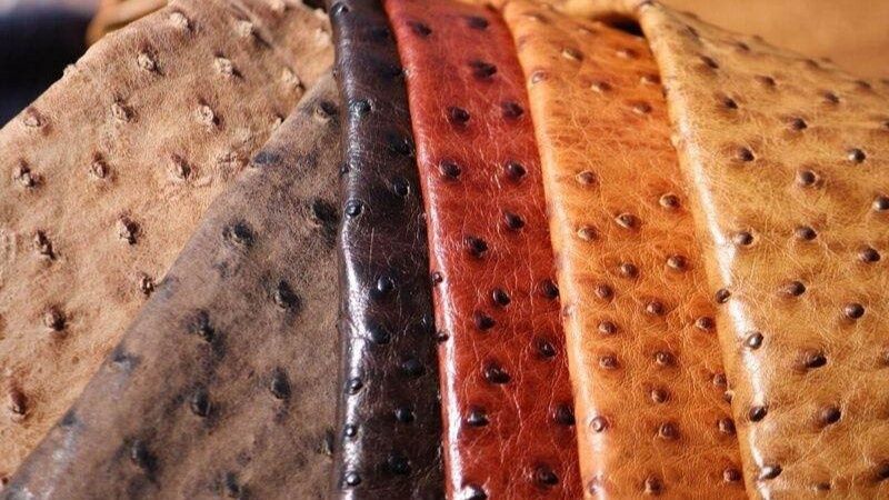 Туякуш териси, кожа страуса,tuyaqush terisi,