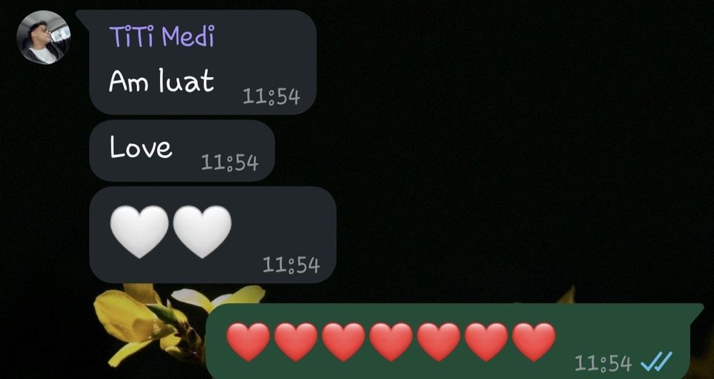 Meditati bac geografie