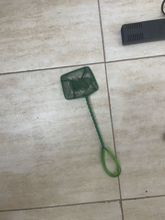 Avariu 60 de l vine cu tot ce ii trebuie