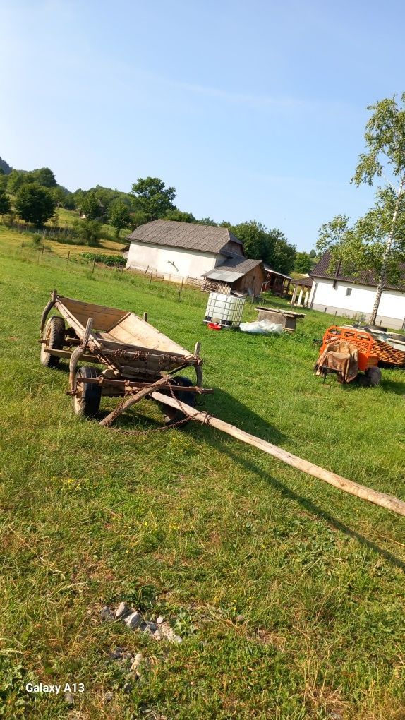 Straf bun de vânzare merge foarte bine pentru mai multe detalii la tel