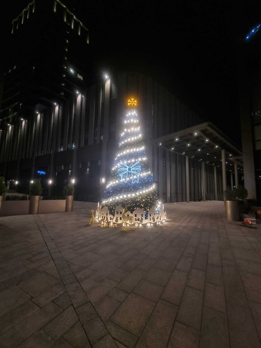 Ёлка Новогодняя  Президентская Prizident Archasi Yangi yil uchun