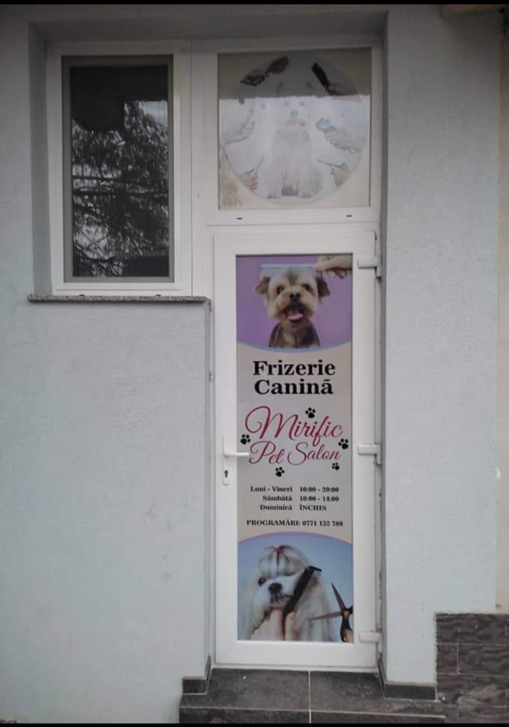 Coafura-Frizerie Canină in Sânmartin Mirific Pet Salon 80 lei