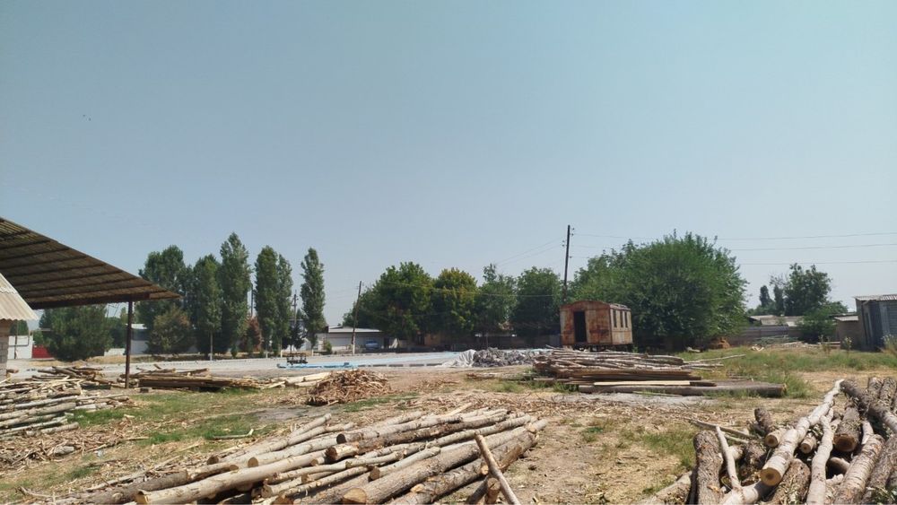 Srochno prodayotca gotoviy biznes s 76 sotki zemli mojno pod kodtej