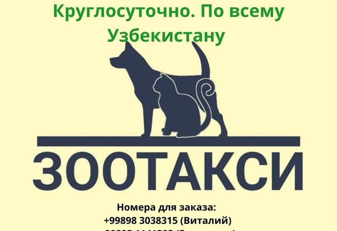 Зоотакси круглосуточно