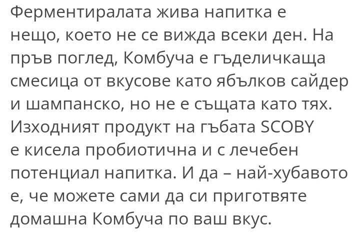 Лечебна Гъба камбуча