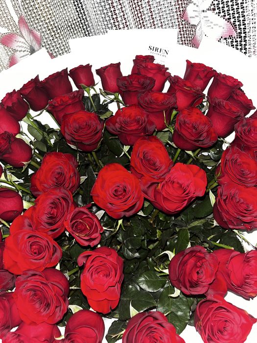 цветы свежие г туркестан  метровый роза корзинадағы 2000