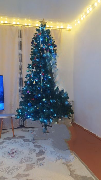 Продам большую пышную Ёлку