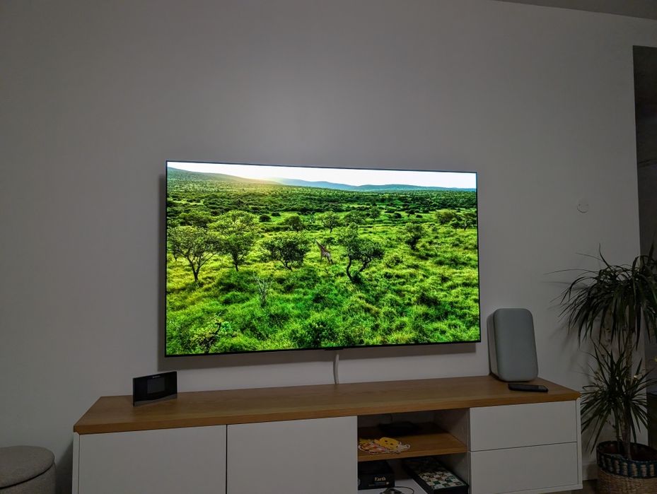 LG OLED C1 139CM ( 55 " )  - fără Butn-in