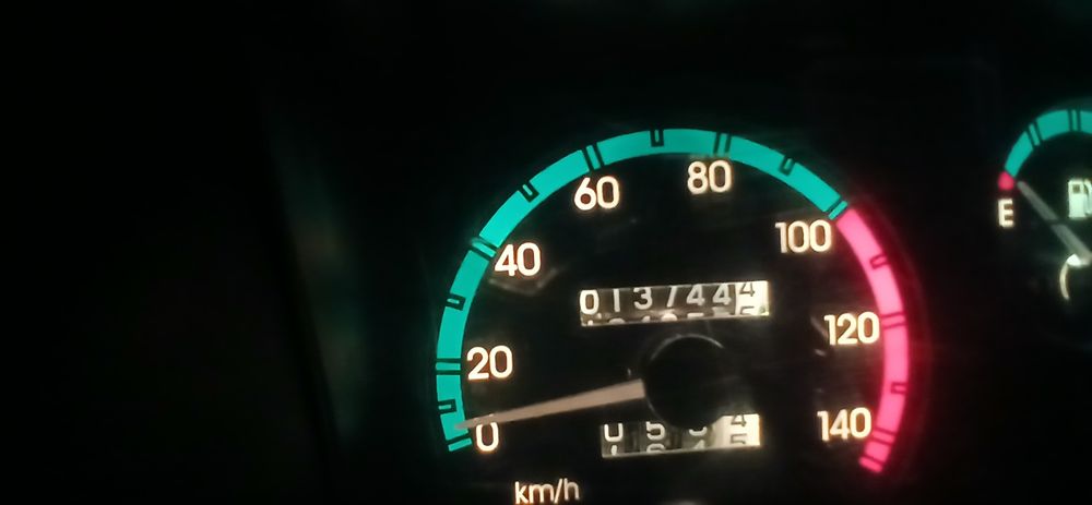 Damas 2024 tex pasport