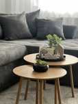 Apartament de inchiriat - cart. Gheorgheni, zona Transylvania College
