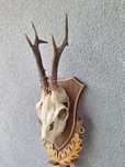 Ornament interior/exterior