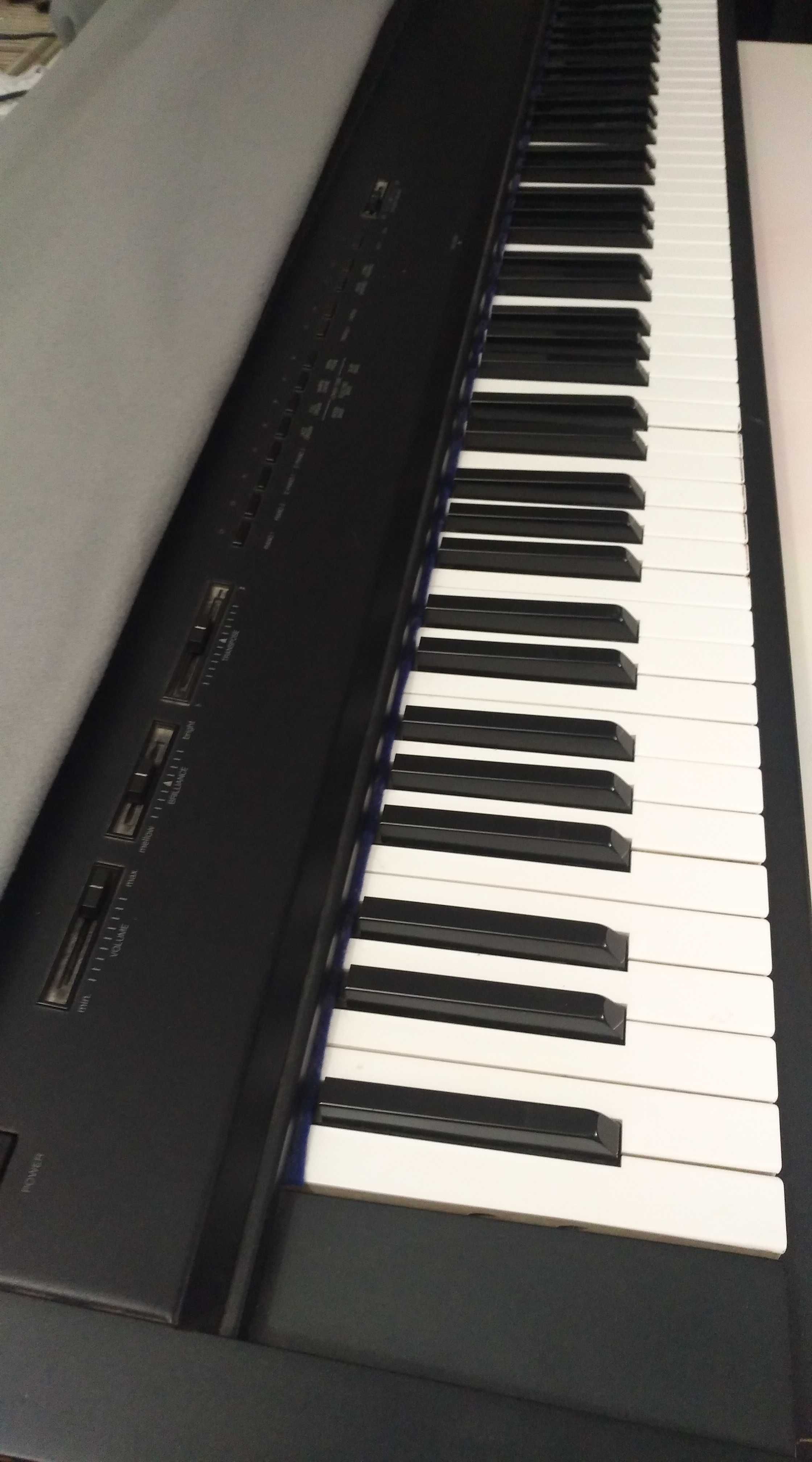 Clape claviatura orga pian Casio Kawai Yamaha Gem Ketron M Audio Korg