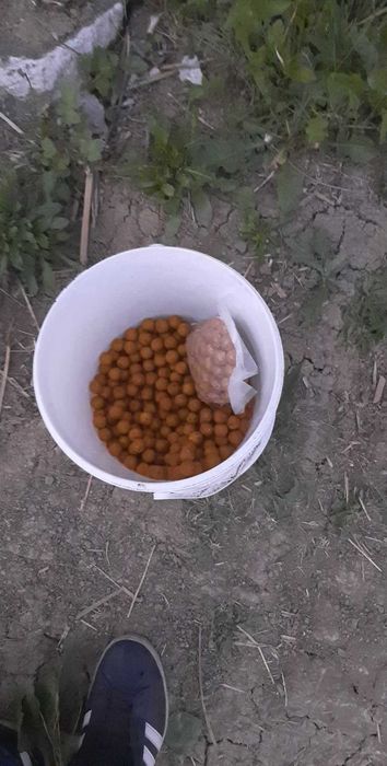 Vand boilies de calitate.