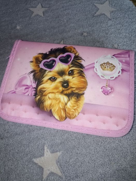 Пенал школьный 500 тг