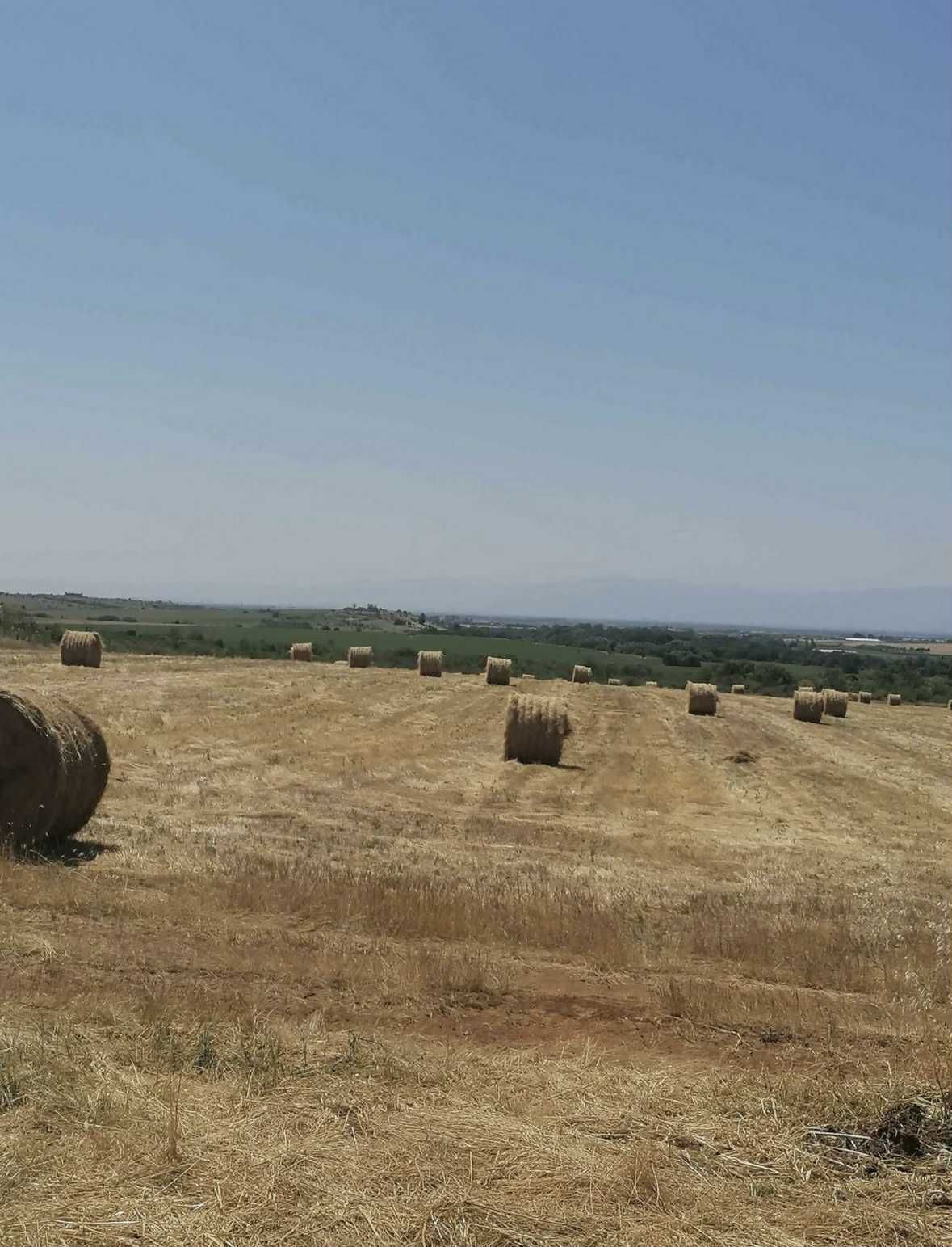 Бало ролонки сено