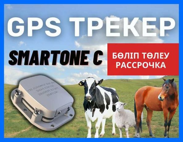 GPS/ДЖПС/ЖПС жануарларга,сиыр,жылкы,туйе,бұқа/ лошади,коровы,быки,КРС