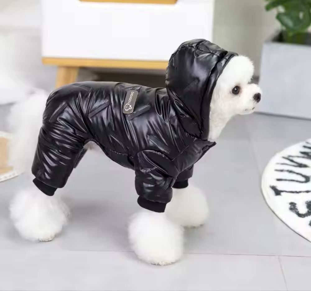 Зимен кучешки космонавт