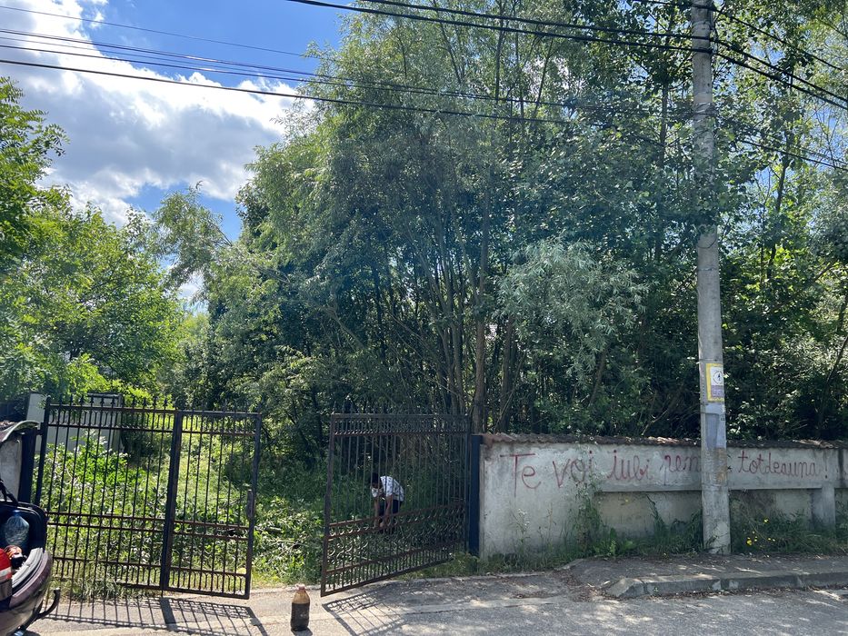 Curatare terenuri lasate in paragina