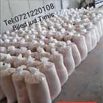 Vand porumb boabe recolta 2025