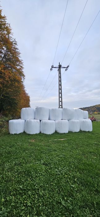 Baloți foliați de vânzare