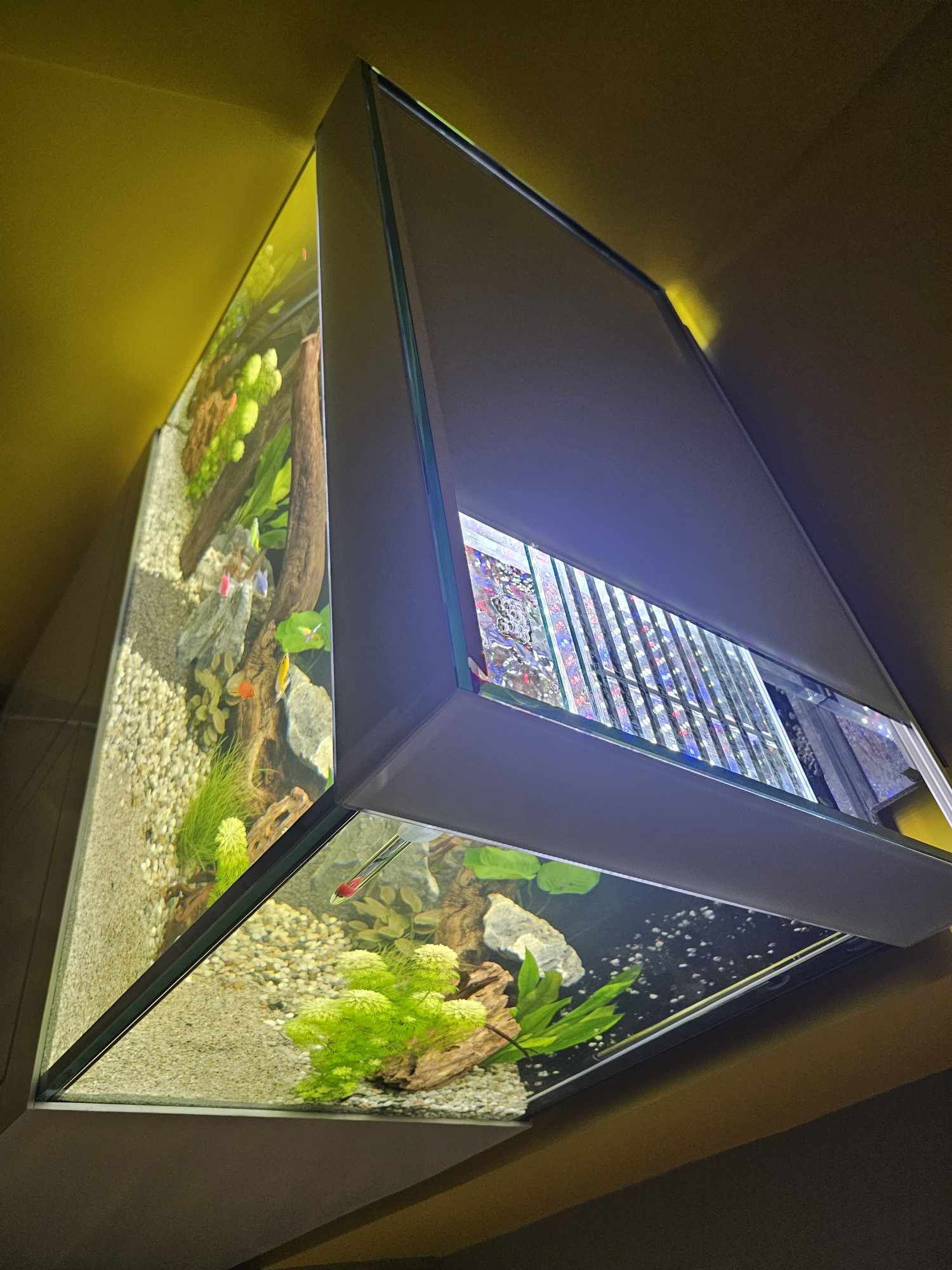 LED лампа осветление за аквариум