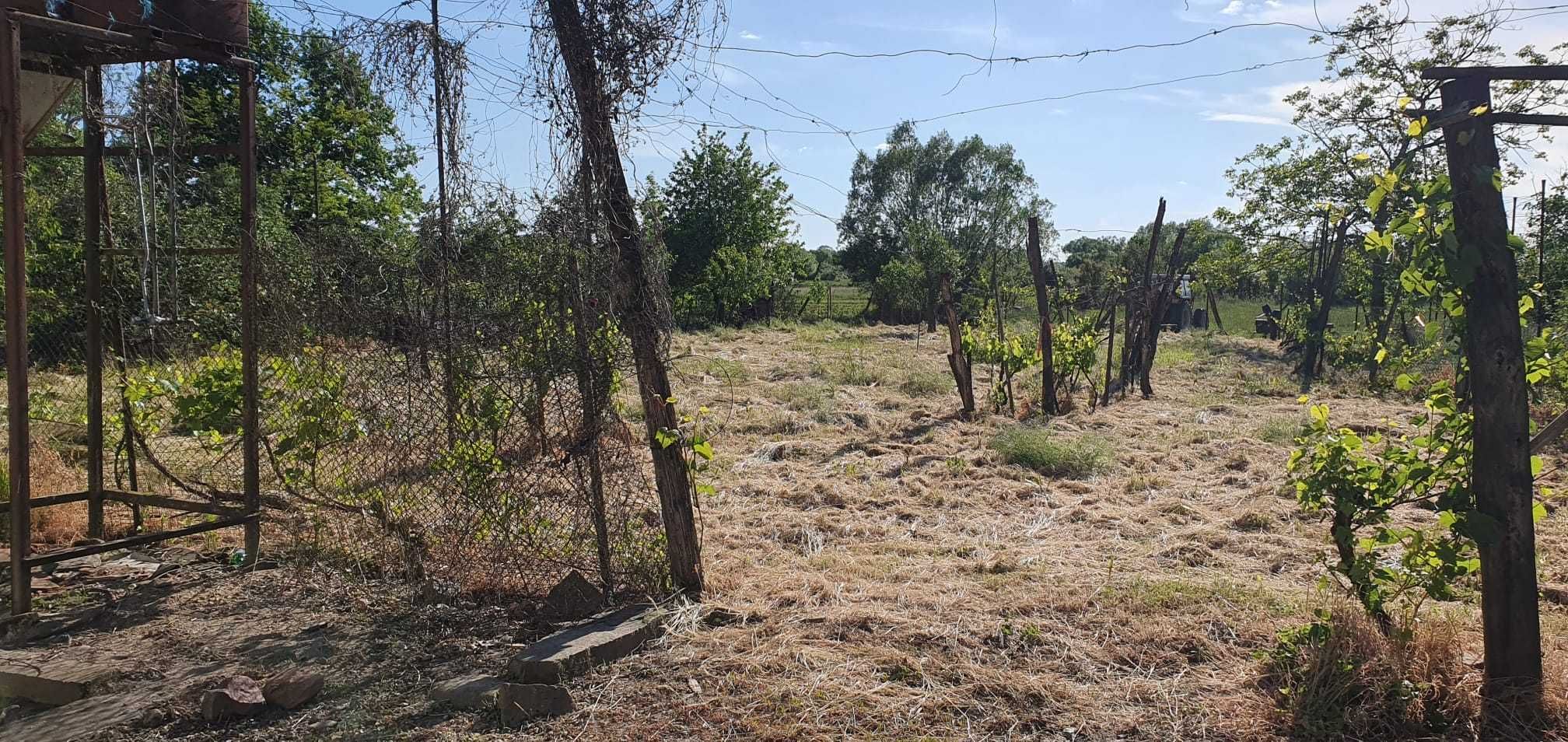 casa la sat  Sambata Bihor de vanzare