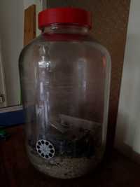 аквариум 10 литра буркан, с помпа