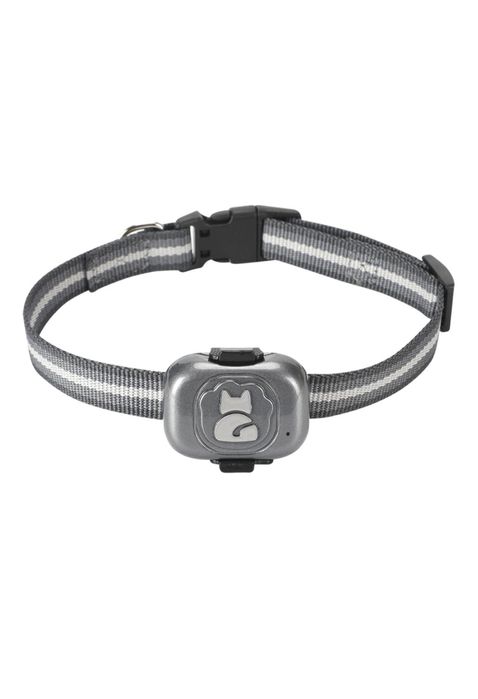 GPS трекер ( собаки,кошки )