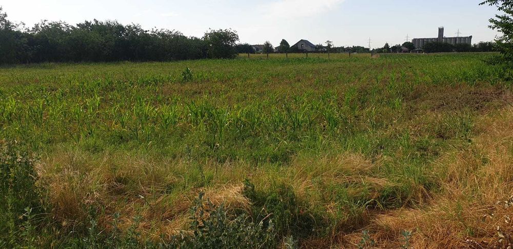 Vind teren intravilan 5000 mp Fetești str. Sperantei nr 15