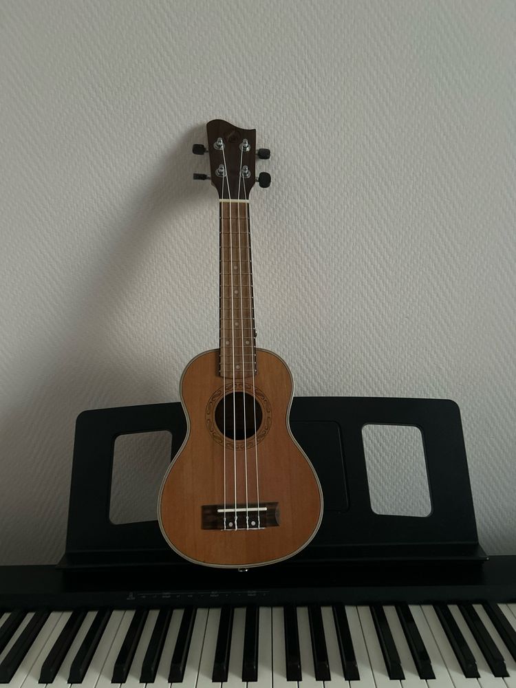 Укулеле grape GKS-80