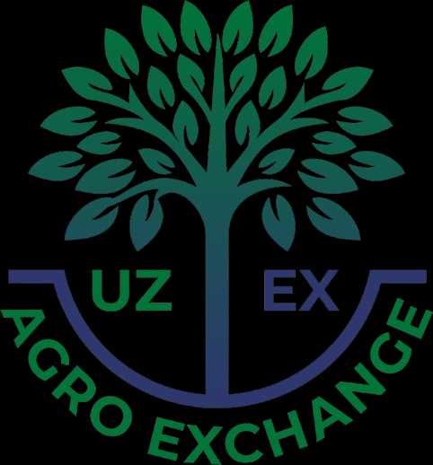 Uzex broker xizmati