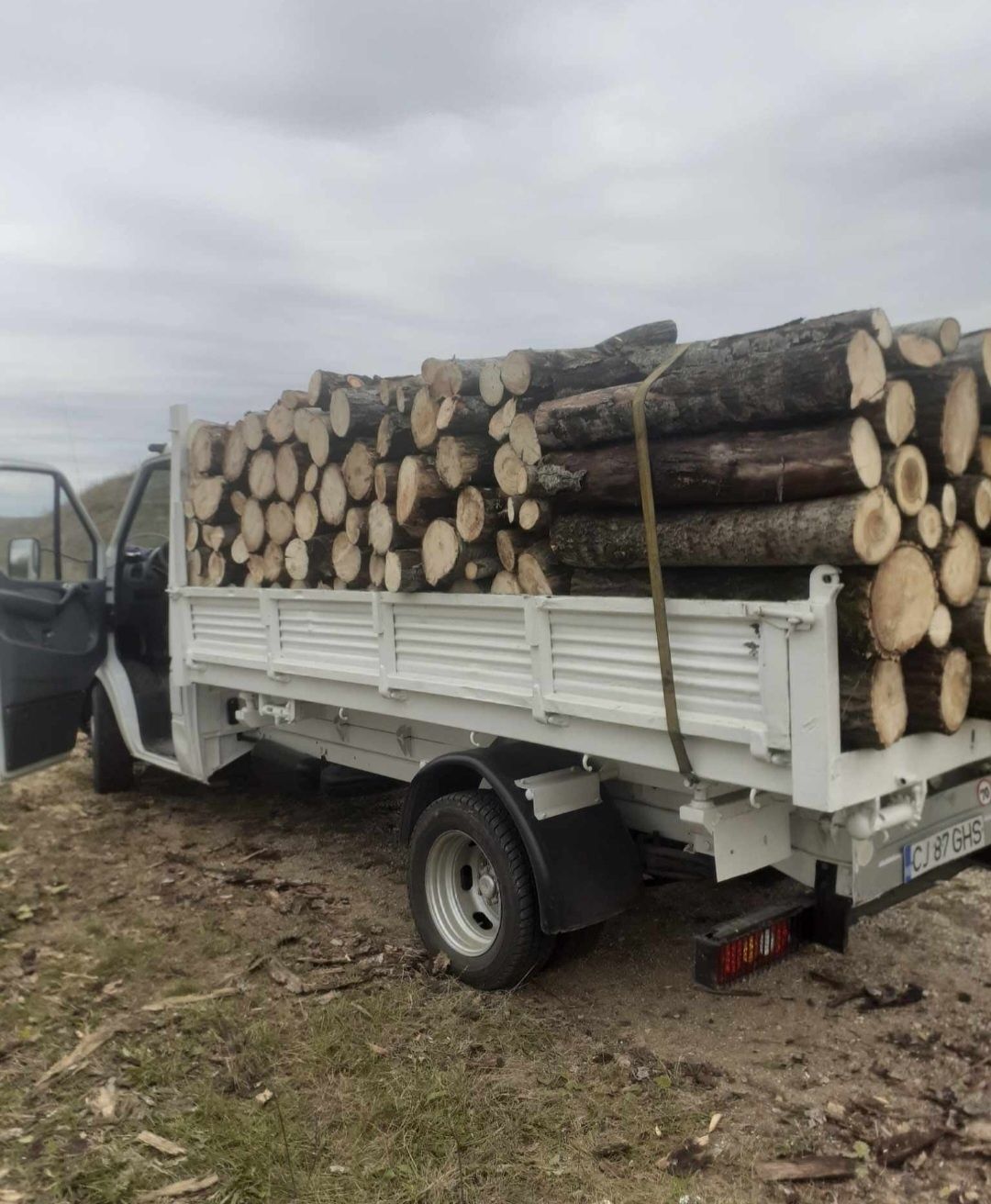 Vând lemne de foc la 249 de lei metru
