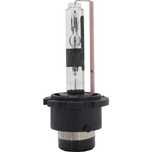 Becuri Xenon D2R 10000K