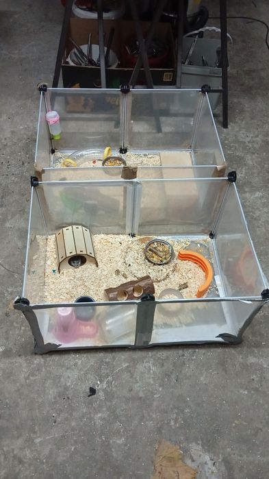Hamster cu cușcă 3 buc